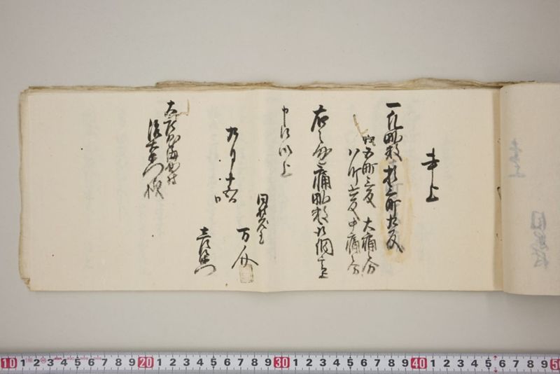 洪水押村々稲毛大痛中痛之分取分書上帳　嘉永五年九月 - ページ 22