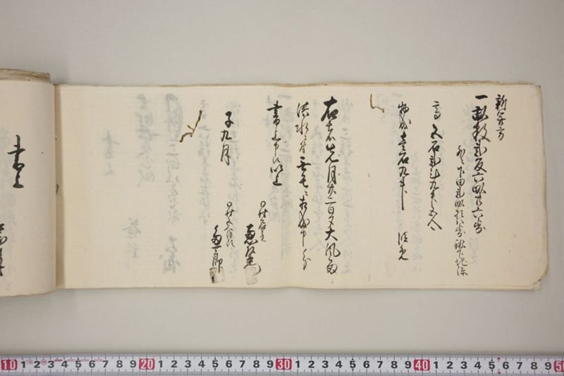 洪水押村々稲毛大痛中痛之分取分書上帳　嘉永五年九月 - ページ 25