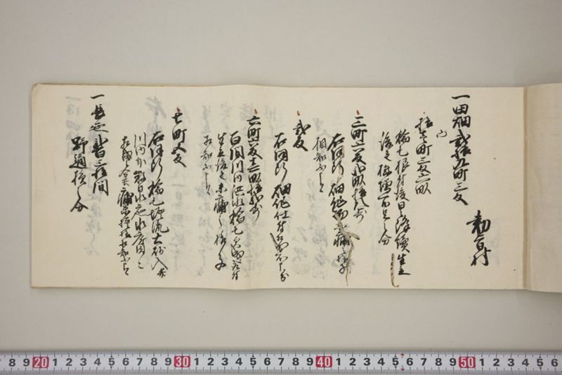 百間川内洪水ニ付堀流土砂入并数日降続窪所水底腐　万延元年五月 - ページ 6