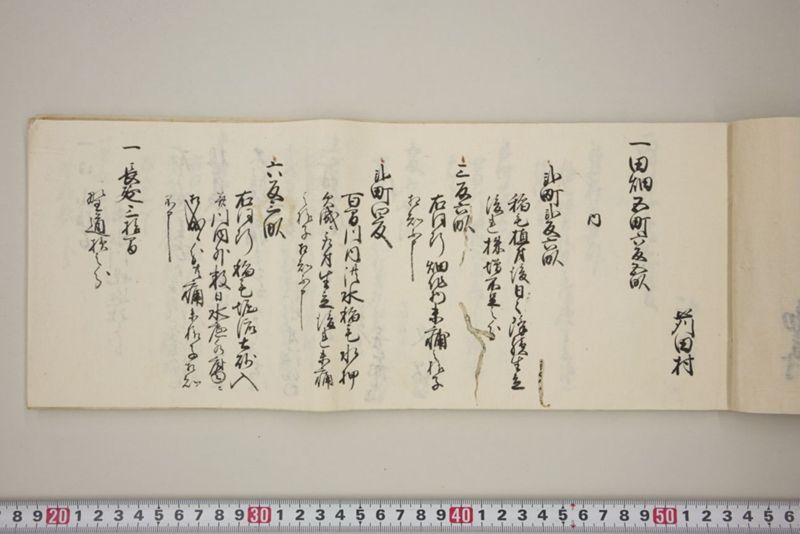 百間川内洪水ニ付堀流土砂入并数日降続窪所水底腐　万延元年五月 - ページ 8