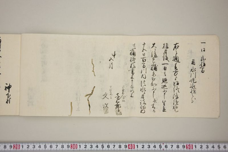 百間川内洪水ニ付堀流土砂入并数日降続窪所水底腐　万延元年五月 - ページ 9