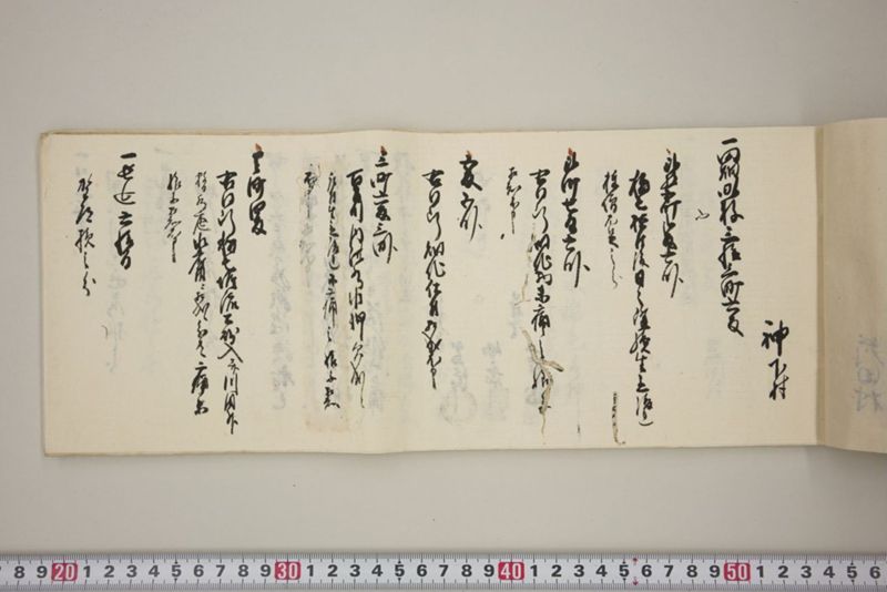 百間川内洪水ニ付堀流土砂入并数日降続窪所水底腐　万延元年五月 - ページ 10