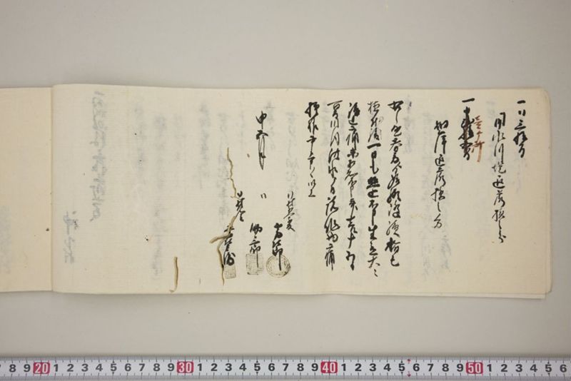 百間川内洪水ニ付堀流土砂入并数日降続窪所水底腐　万延元年五月 - ページ 11