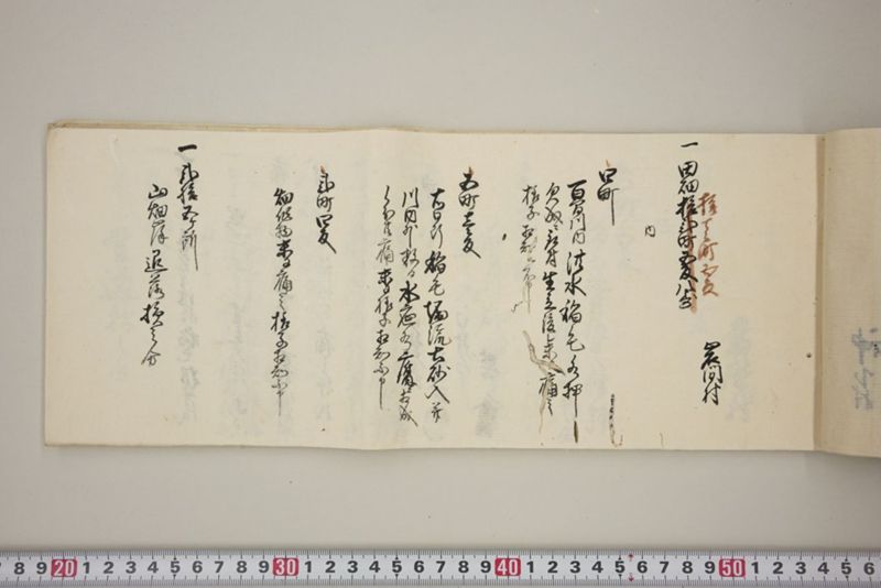 百間川内洪水ニ付堀流土砂入并数日降続窪所水底腐　万延元年五月 - ページ 12