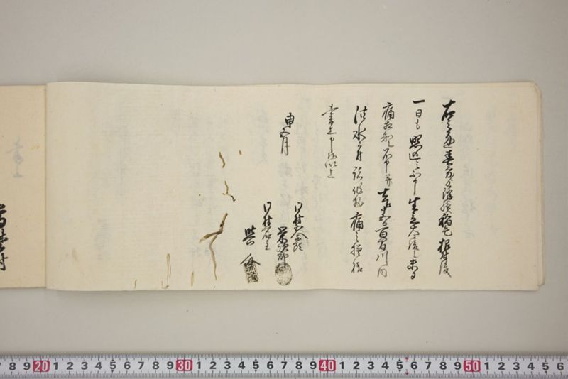 百間川内洪水ニ付堀流土砂入并数日降続窪所水底腐　万延元年五月 - ページ 13