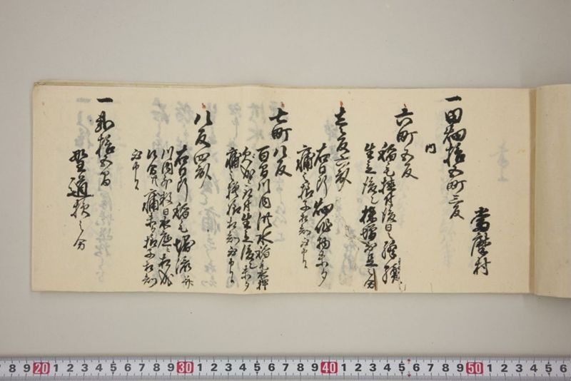 百間川内洪水ニ付堀流土砂入并数日降続窪所水底腐　万延元年五月 - ページ 14