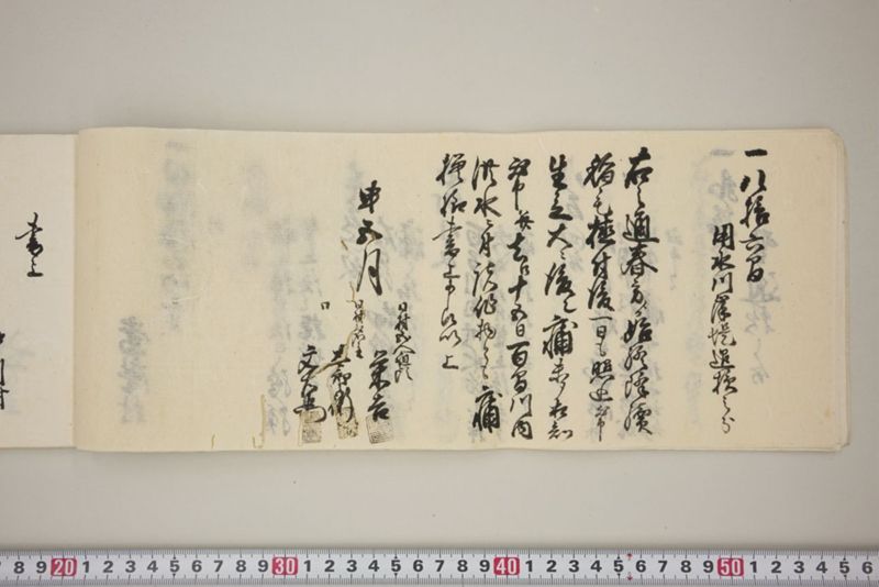 百間川内洪水ニ付堀流土砂入并数日降続窪所水底腐　万延元年五月 - ページ 15