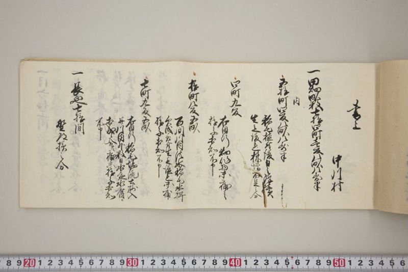 百間川内洪水ニ付堀流土砂入并数日降続窪所水底腐　万延元年五月 - ページ 16