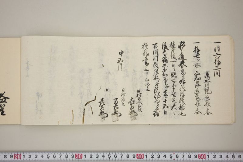 百間川内洪水ニ付堀流土砂入并数日降続窪所水底腐　万延元年五月 - ページ 17