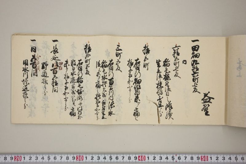 百間川内洪水ニ付堀流土砂入并数日降続窪所水底腐　万延元年五月 - ページ 18
