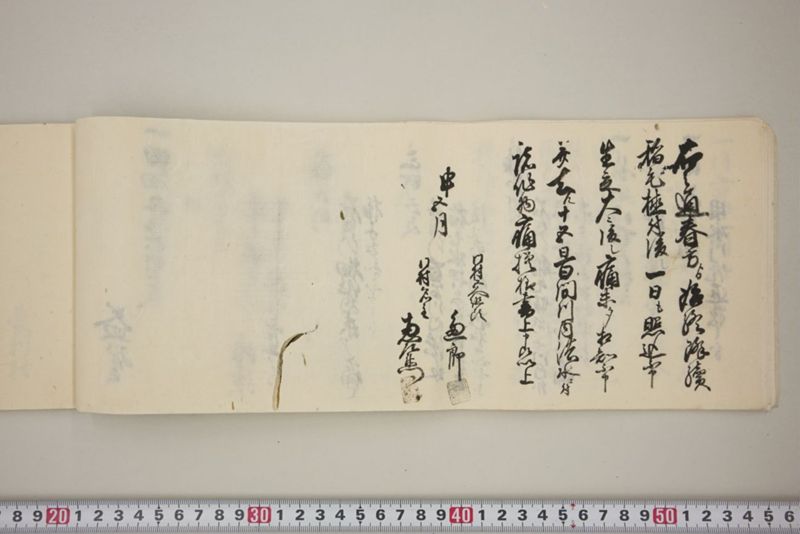 百間川内洪水ニ付堀流土砂入并数日降続窪所水底腐　万延元年五月 - ページ 19