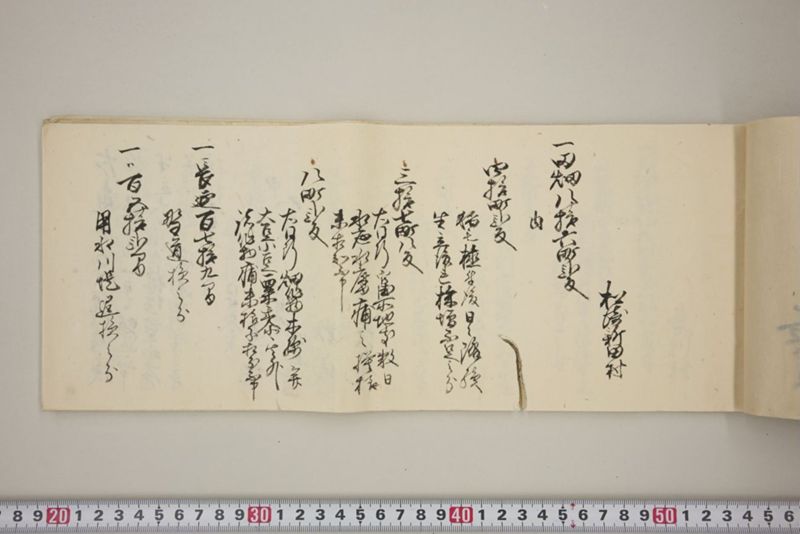 百間川内洪水ニ付堀流土砂入并数日降続窪所水底腐　万延元年五月 - ページ 20