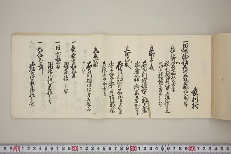 百間川内洪水ニ付堀流土砂入并数日降続窪所水底腐　万延元年五月 - ページ 22