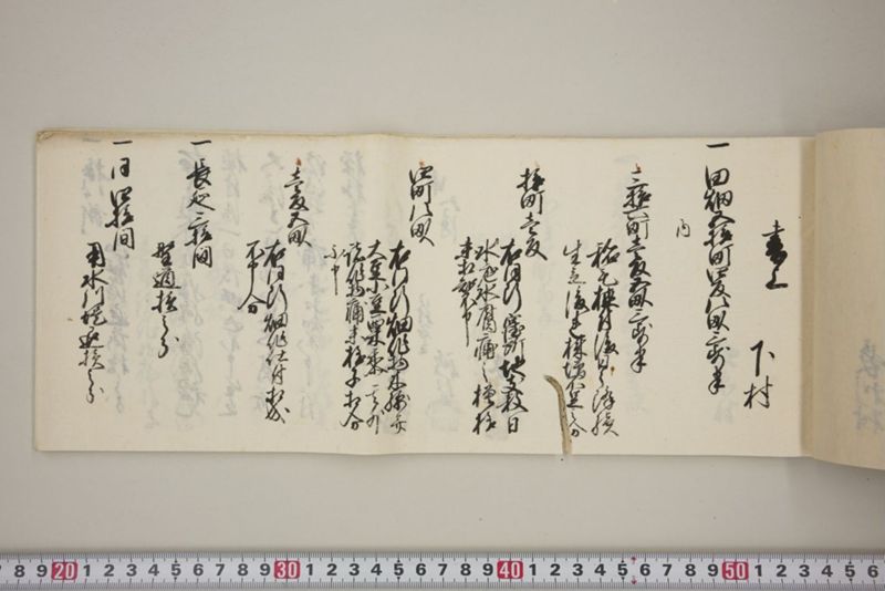 百間川内洪水ニ付堀流土砂入并数日降続窪所水底腐　万延元年五月 - ページ 24