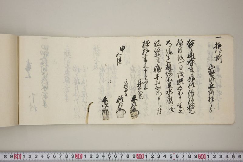 百間川内洪水ニ付堀流土砂入并数日降続窪所水底腐　万延元年五月 - ページ 25