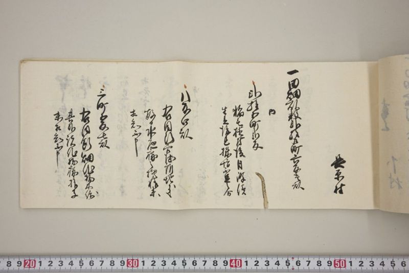 百間川内洪水ニ付堀流土砂入并数日降続窪所水底腐　万延元年五月 - ページ 26