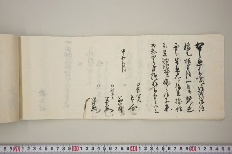 百間川内洪水ニ付堀流土砂入并数日降続窪所水底腐　万延元年五月 - ページ 27