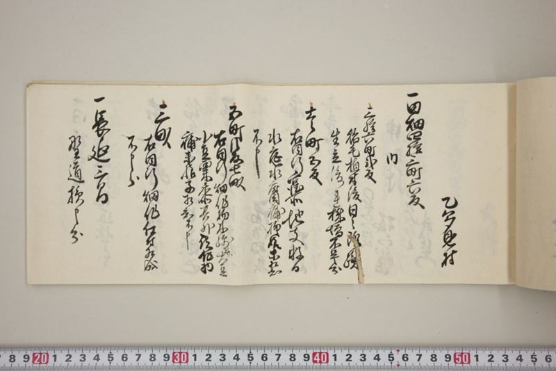 百間川内洪水ニ付堀流土砂入并数日降続窪所水底腐　万延元年五月 - ページ 28