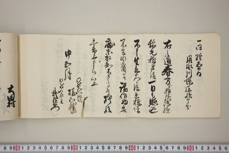 百間川内洪水ニ付堀流土砂入并数日降続窪所水底腐　万延元年五月 - ページ 29