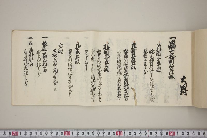百間川内洪水ニ付堀流土砂入并数日降続窪所水底腐　万延元年五月 - ページ 30