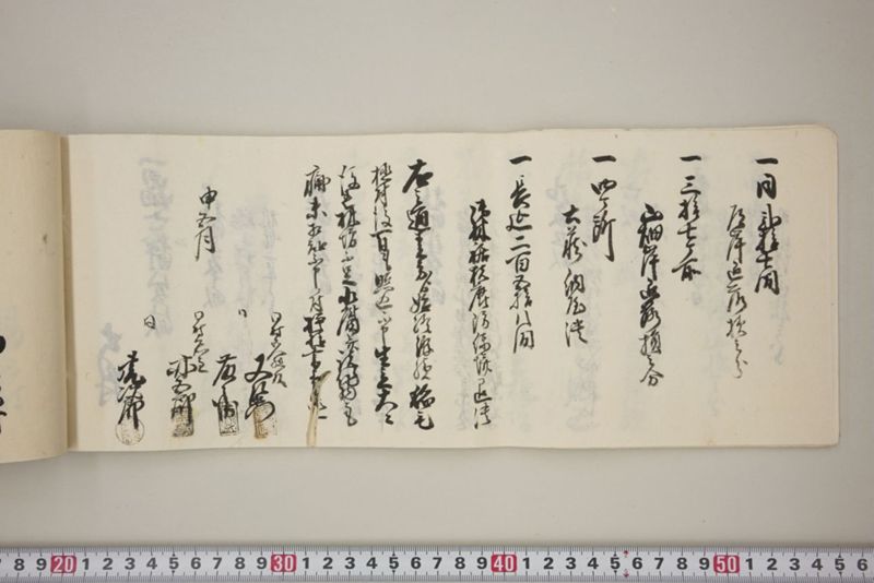 百間川内洪水ニ付堀流土砂入并数日降続窪所水底腐　万延元年五月 - ページ 31