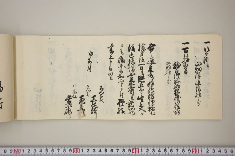 百間川内洪水ニ付堀流土砂入并数日降続窪所水底腐　万延元年五月 - ページ 33