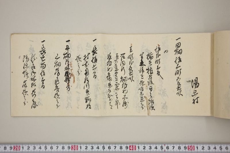 百間川内洪水ニ付堀流土砂入并数日降続窪所水底腐　万延元年五月 - ページ 34