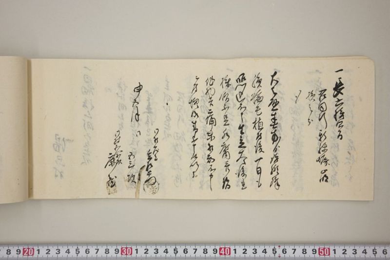 百間川内洪水ニ付堀流土砂入并数日降続窪所水底腐　万延元年五月 - ページ 35