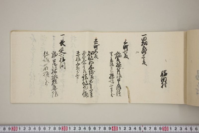 百間川内洪水ニ付堀流土砂入并数日降続窪所水底腐　万延元年五月 - ページ 36