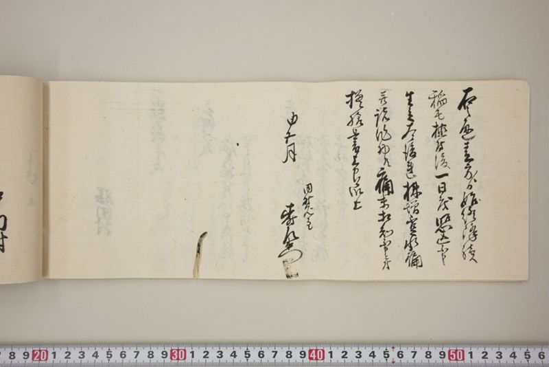 百間川内洪水ニ付堀流土砂入并数日降続窪所水底腐　万延元年五月 - ページ 37