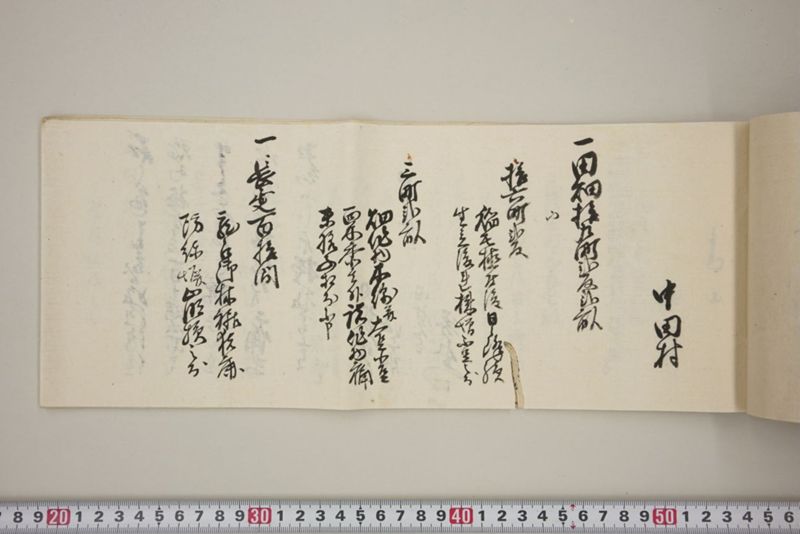 百間川内洪水ニ付堀流土砂入并数日降続窪所水底腐　万延元年五月 - ページ 38