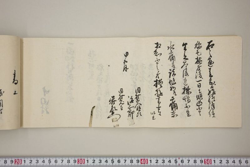 百間川内洪水ニ付堀流土砂入并数日降続窪所水底腐　万延元年五月 - ページ 39