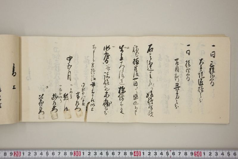 百間川内洪水ニ付堀流土砂入并数日降続窪所水底腐　万延元年五月 - ページ 41