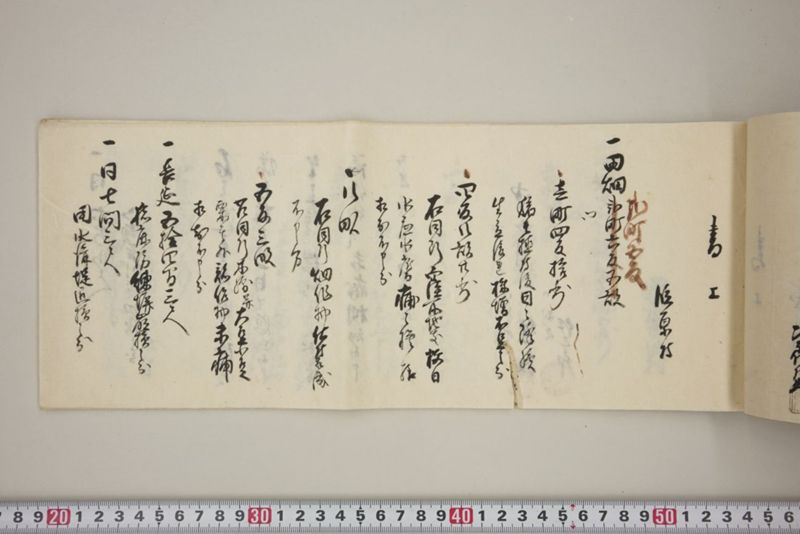 百間川内洪水ニ付堀流土砂入并数日降続窪所水底腐　万延元年五月 - ページ 42