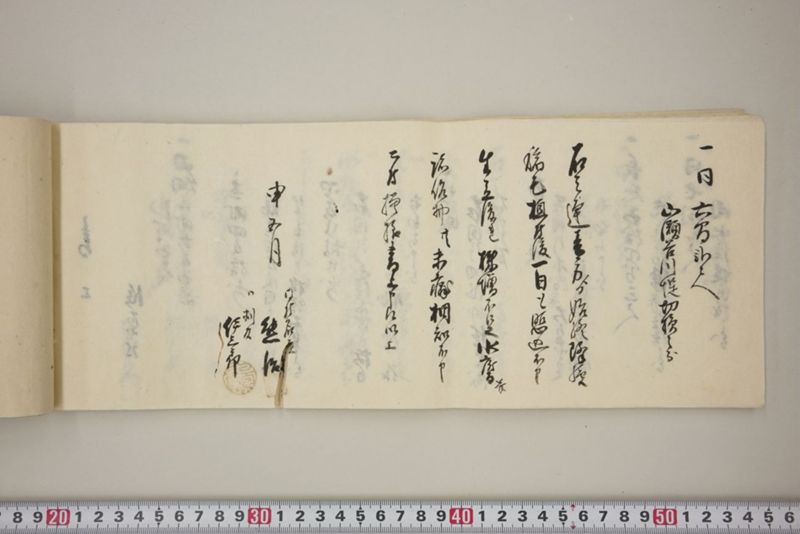 百間川内洪水ニ付堀流土砂入并数日降続窪所水底腐　万延元年五月 - ページ 43