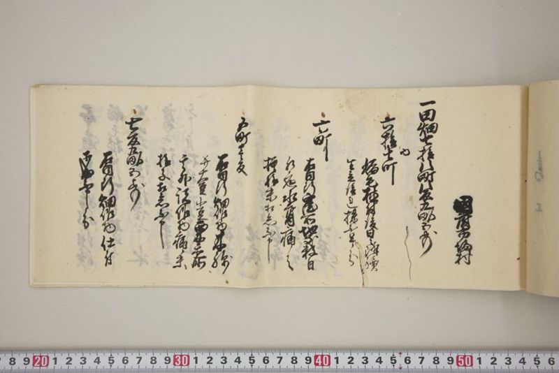 百間川内洪水ニ付堀流土砂入并数日降続窪所水底腐　万延元年五月 - ページ 44