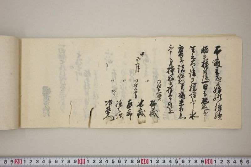 百間川内洪水ニ付堀流土砂入并数日降続窪所水底腐　万延元年五月 - ページ 45