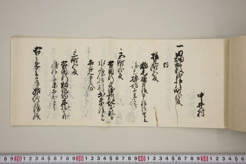 百間川内洪水ニ付堀流土砂入并数日降続窪所水底腐　万延元年五月 - ページ 46