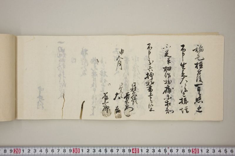 百間川内洪水ニ付堀流土砂入并数日降続窪所水底腐　万延元年五月 - ページ 47