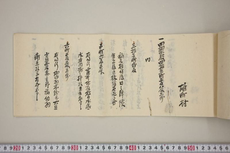 百間川内洪水ニ付堀流土砂入并数日降続窪所水底腐　万延元年五月 - ページ 48