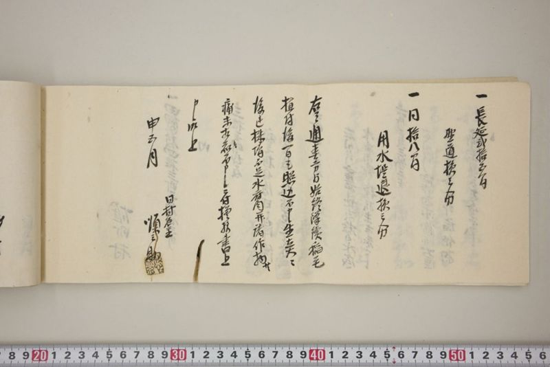百間川内洪水ニ付堀流土砂入并数日降続窪所水底腐　万延元年五月 - ページ 49