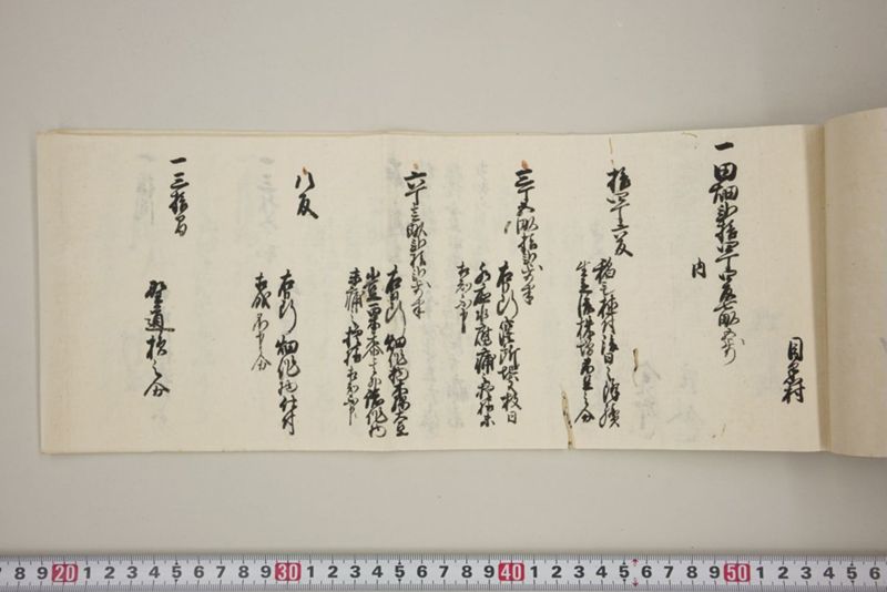 百間川内洪水ニ付堀流土砂入并数日降続窪所水底腐　万延元年五月 - ページ 52