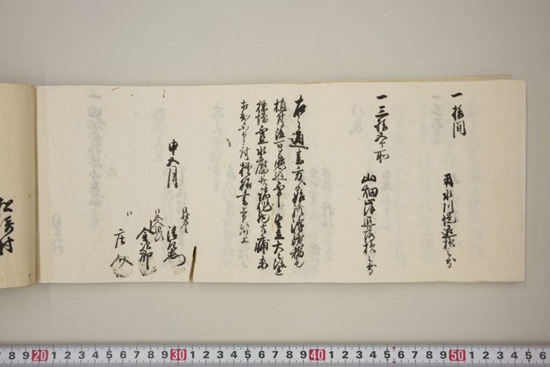 百間川内洪水ニ付堀流土砂入并数日降続窪所水底腐　万延元年五月 - ページ 53