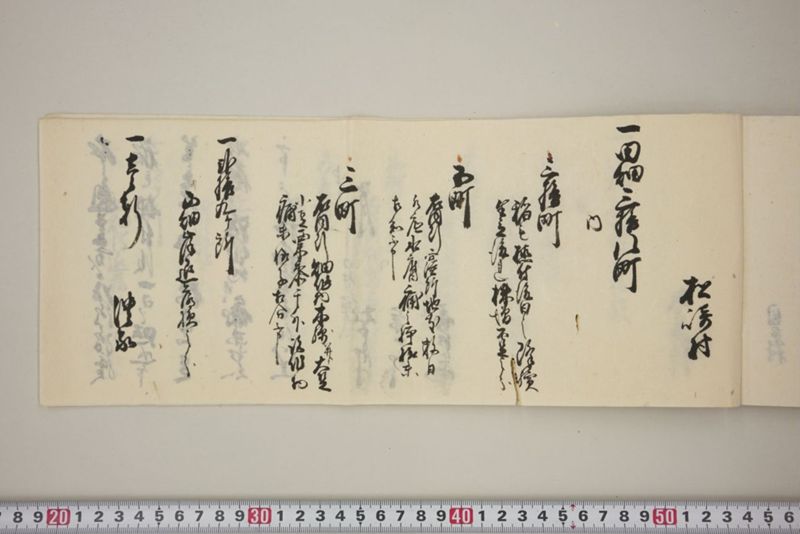 百間川内洪水ニ付堀流土砂入并数日降続窪所水底腐　万延元年五月 - ページ 54