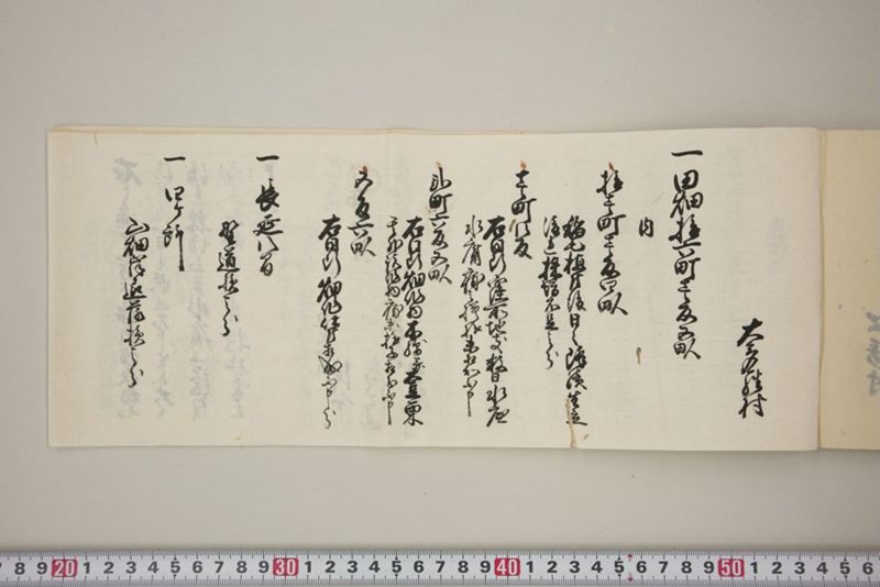 百間川内洪水ニ付堀流土砂入并数日降続窪所水底腐　万延元年五月 - ページ 56