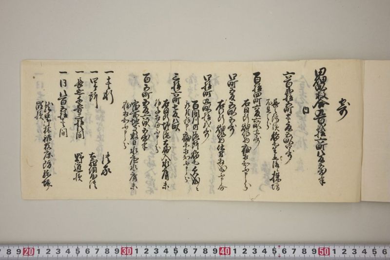 百間川内洪水ニ付堀流土砂入并数日降続窪所水底腐　万延元年五月 - ページ 58