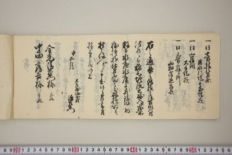 百間川内洪水ニ付堀流土砂入并数日降続窪所水底腐　万延元年五月 - ページ 59