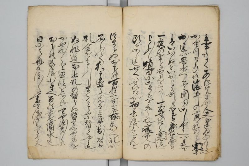 両備高水記 - ページ 11