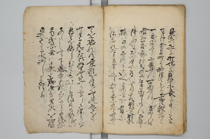 両備高水記 - ページ 13