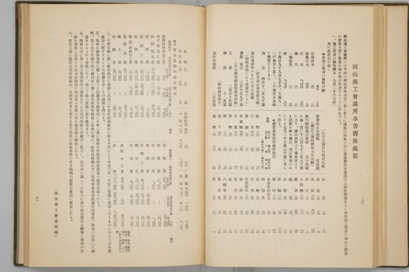 岡山風水害史 - ページ 46